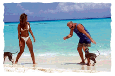 beachcrew.png