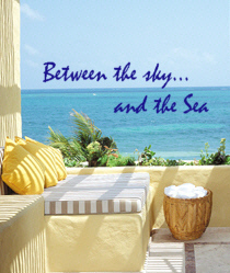 oceanview1.jpg